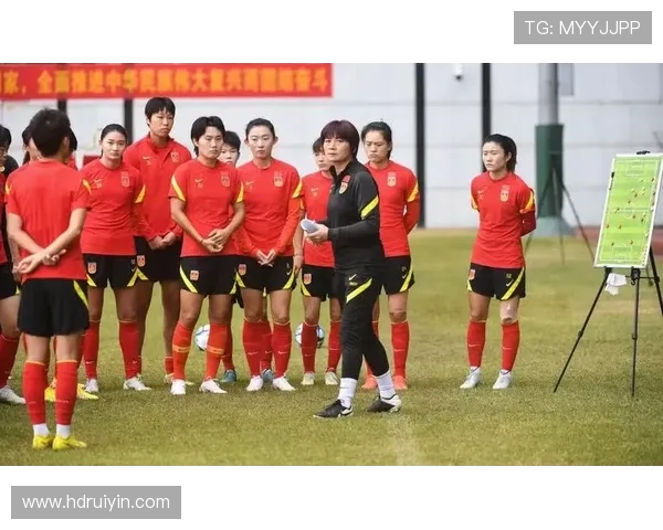 杭州排球队个人能力分析与表现评估探讨